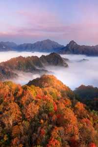 救命光霧山的秋天真的美哭我了