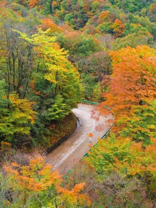 I rarely use the word "stunning" to describe a place!!