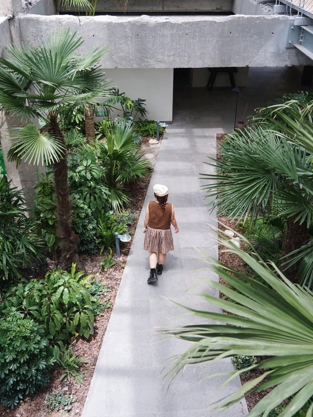 銀川|「躺」在星星的故鄉，喝酒眺望賀蘭山