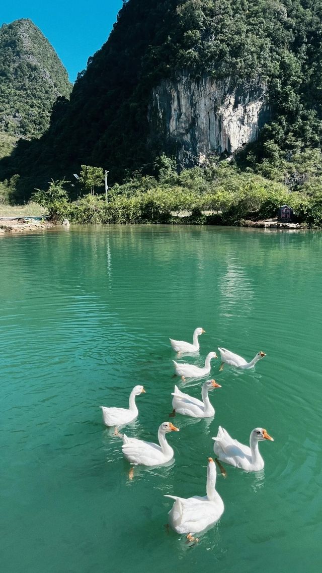 鵝泉幻境拍照攻略