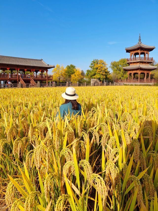牡丹江秋天的絕美風景 牡丹江秋天的絕美風景
