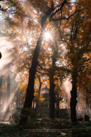 The upcoming autumn in Suzhou will be legendary