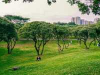 深圳中山公園｜陰雨天也能拍出超絕氛圍感！