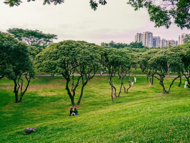 深圳中山公園｜陰雨天也能拍出超絕氛圍感！
