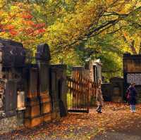 🍂에든버러 가을，일곱 번째 맞이하는 계절의詩