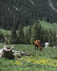 新疆夏塔:一日看盡冰川星空草原的絕美秘境