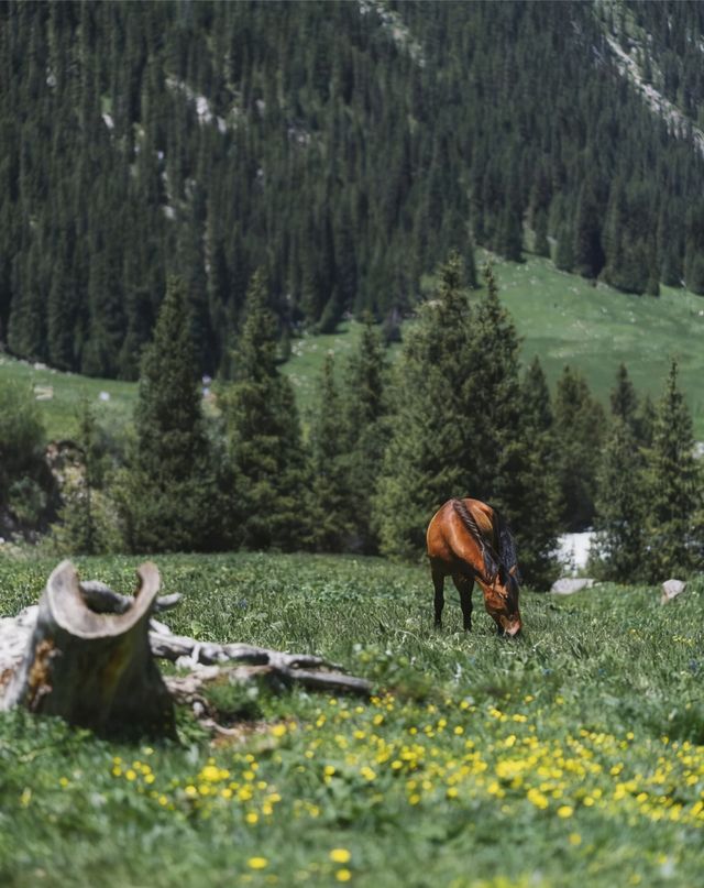 新疆夏塔:一日看盡冰川星空草原的絕美秘境 新疆夏塔:一日看盡冰川星空草原的絕美秘境