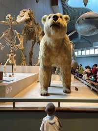 上海自然博物館 | 會呼吸的綠螺,超震撼的自然世界!