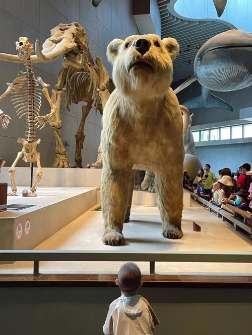 上海自然博物館 | 會呼吸的綠螺,超震撼的自然世界! 上海自然博物館 | 會呼吸的綠螺,超震撼的自然世界!