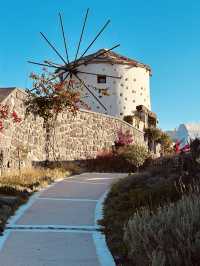 Heart of Santorini 清晨 7 點的寧靜