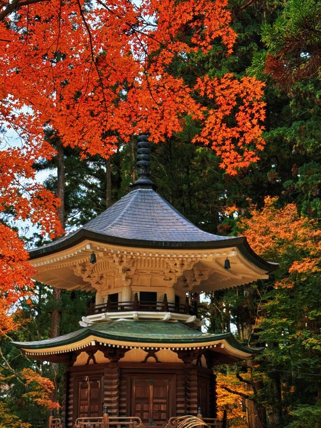 拈花一笑高野山