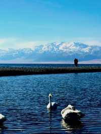 北疆冬季終極攻略