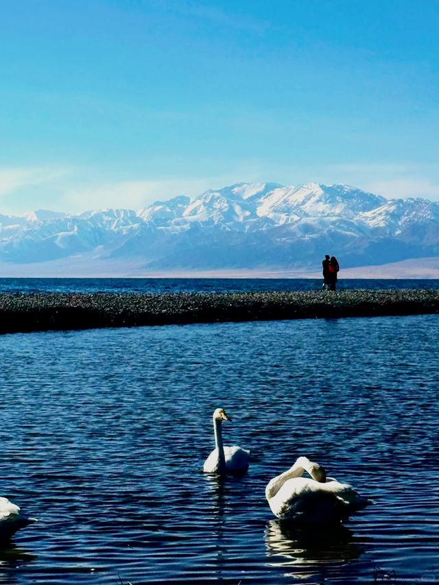 北疆冬季終極攻略