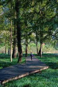 上海杭州周邊｜不在奈良，在諸暨