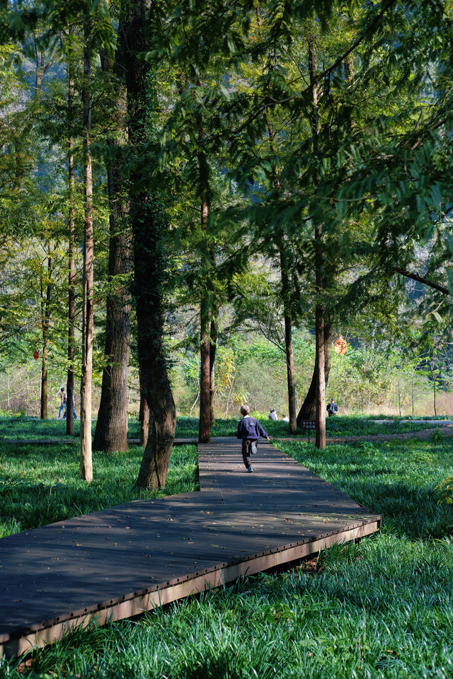 上海杭州周邊｜不在奈良，在諸暨