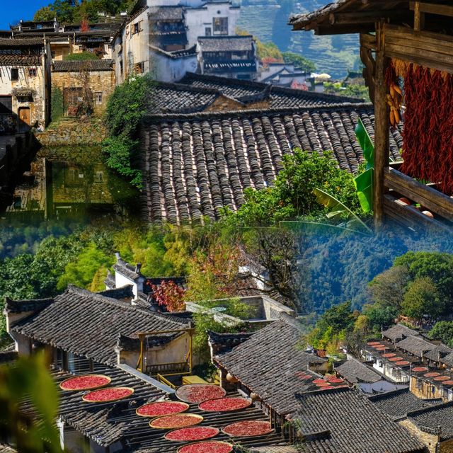 絕美秋色！齊雲山一日精華遊攻略 