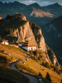 青西郊野公園親子賞秋水杉林免費遛娃攻略