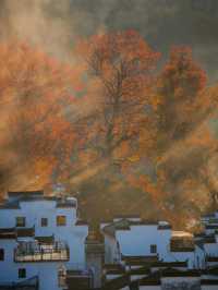 紅楓配炊煙！石城的秋冬晨霧，小眾古村的限定畫卷太絕了