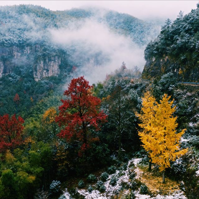 霧鎖江南·徒步雪竇嶺的水墨秘境｜初冬徒步天花板！