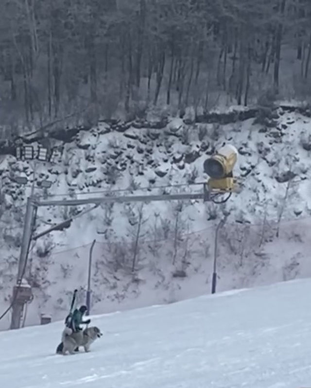 北京滑雪直通車開通!週末2小時直達雪場 北京滑雪直通車開通!週末2小時直達雪場