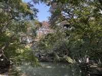 秋日虞山賞楓季