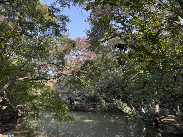 秋日虞山賞楓季