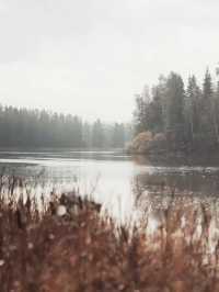 未霜先寒青雲畔，暖居藏韻禦冬涼