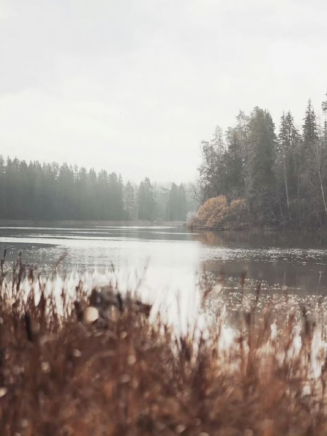 未霜先寒青雲畔，暖居藏韻禦冬涼