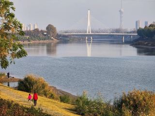 Unveiling the "Cultural Treasure" of Central China — Zhoukou! This guide lets you have an amazing time in one go