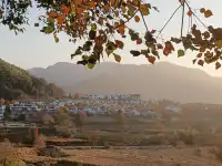 由贛州出發週末遊宏村塔川賞秋保姆級攻略嚟喇