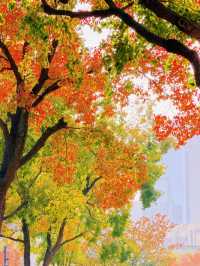 上海的秋日藝術巡禮