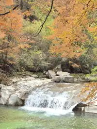 2025年11月2日到11月6日的光霧山與西安之旅