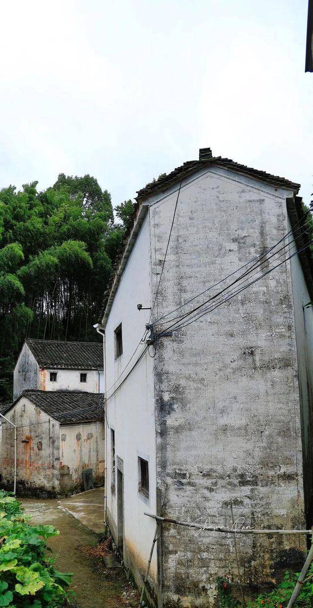 歙縣霞坑鎮察坑村：藏在皖南山水間的千年詩意