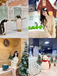 不用去北歐！惠州就能撸真企鵝+冰雪滑梯！