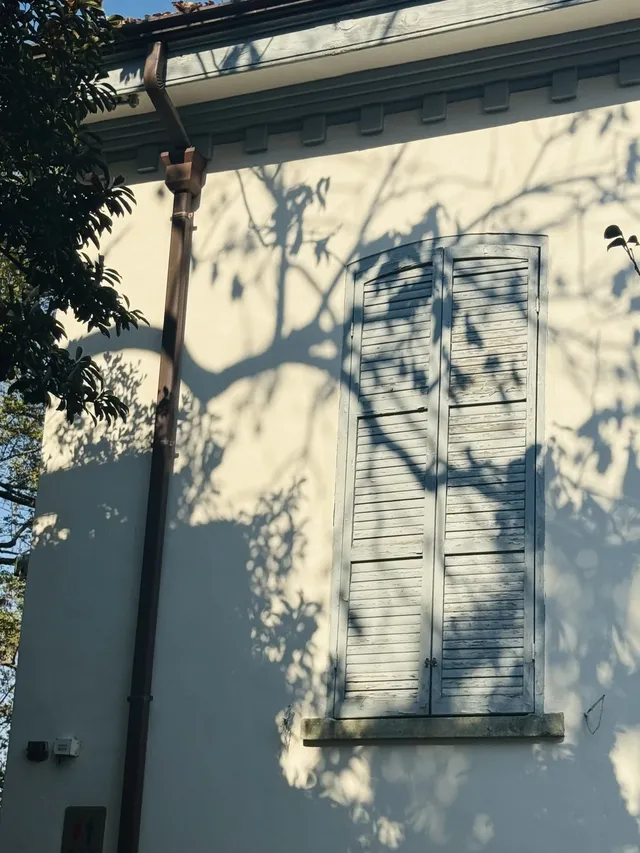 上海 |登佘山之巔,聆聽時光頌詩 上海 |登佘山之巔,聆聽時光頌詩