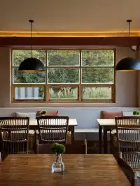 瀘沽湖蘆葦季｜海鷗live，晨霧漫湖