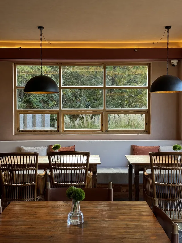 瀘沽湖蘆葦季｜海鷗live，晨霧漫湖