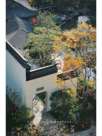 旗山湖悅湖,住這裡太治癒