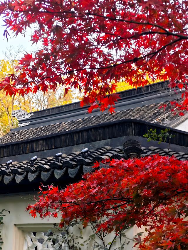 坐著11號線去看秋(上海周邊遊) 坐著11號線去看秋(上海周邊遊)