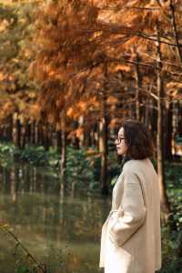 江南「亞馬遜」驚艷初冬！乘竹筏穿越油畫世界