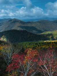 抄作業牡丹江-延邊|適合小眾人群玩法