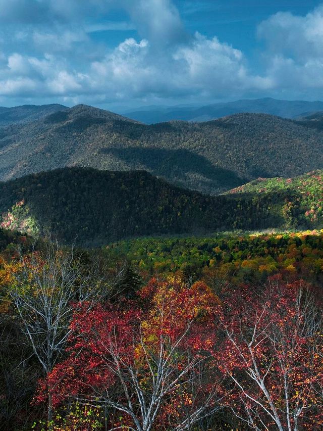 抄作業牡丹江-延邊|適合小眾人群玩法