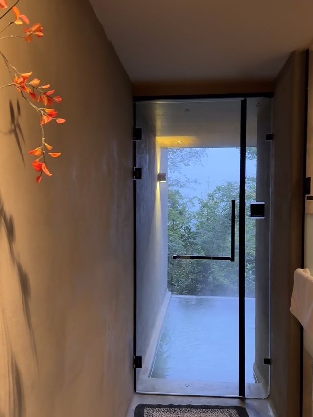 這一站躲進了青城山的森林氧吧