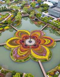 魔都版莫奈花園打卡|四季皆美,打卡不踩雷