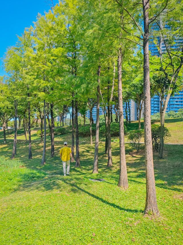去一萬次都不夠！深圳我最愛的治癒系公園！