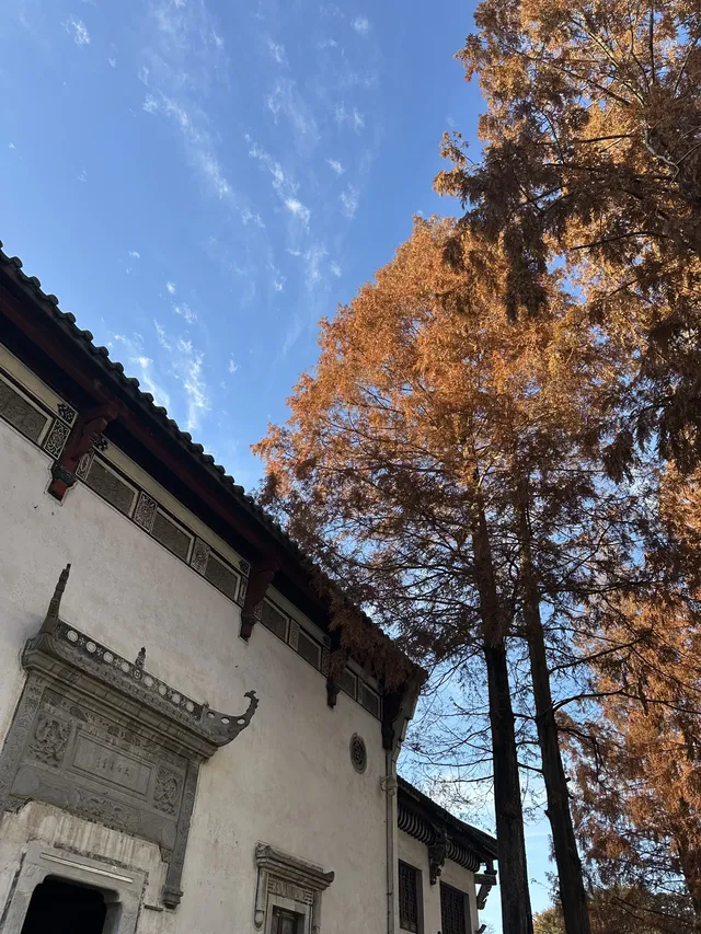 以深悲宏願照亮黑暗，以智慧恆心守護眾生