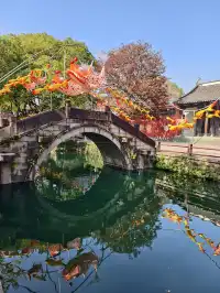 看我用手機記錄鹽官最濃的秋色附機位版