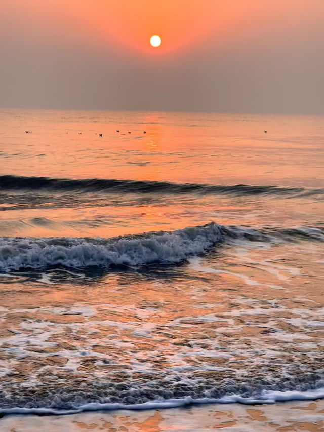 以為青島很美了，直到我來了北方小三亞