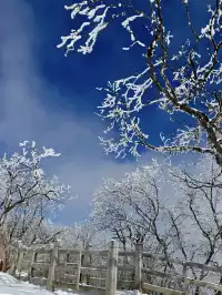 西嶺雪山下雪實況！1日遊成都往返才花68