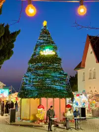 一篇告訴你！半天拍青島個超火聖誕打卡地